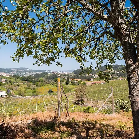 Partezins Iii * Castelo de Paiva