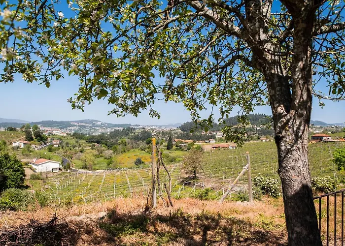 Partezins Iii * Castelo de Paiva